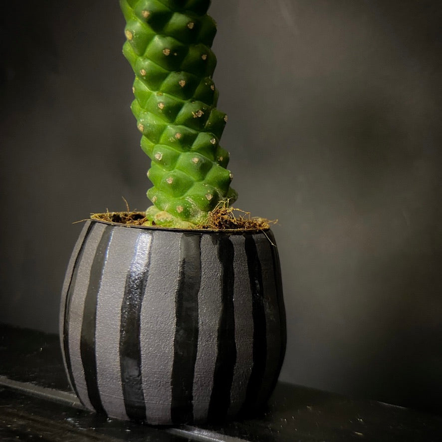 Plantpot holder - Black clay with lines
