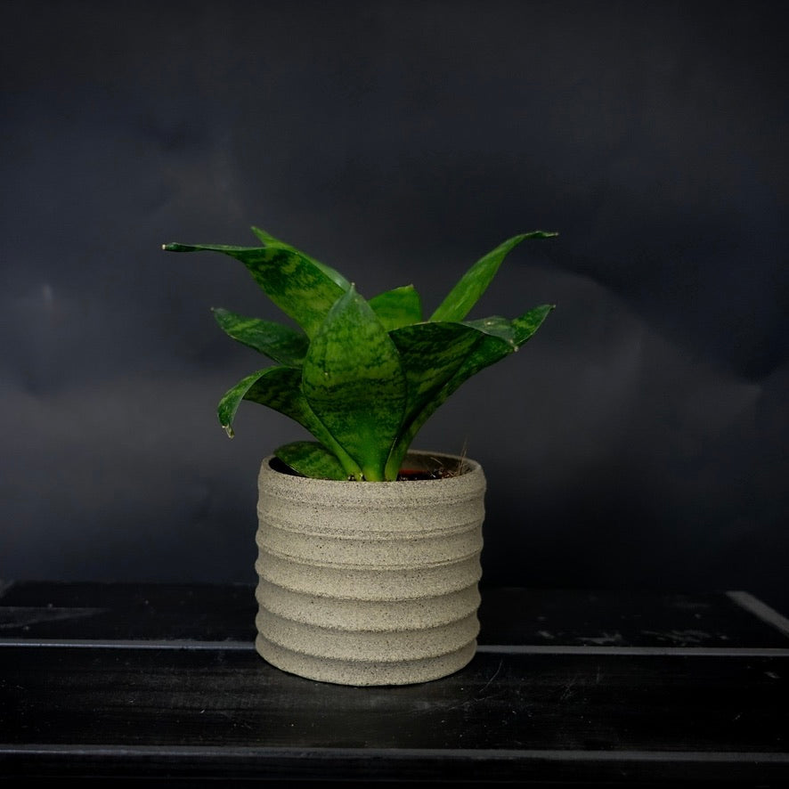 Plantpot holder - Grey pinkish clay
