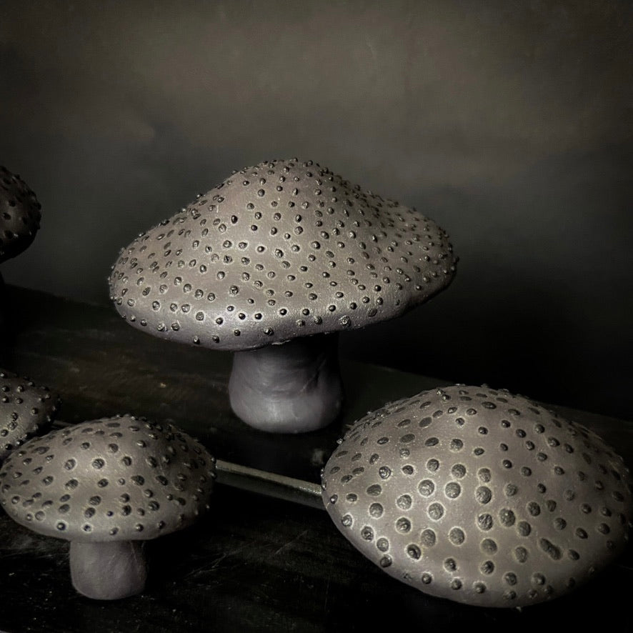 Champignons - Argile noire à pois noirs