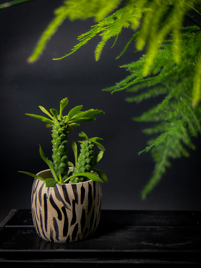 Plantpot holder - Tiger pattern