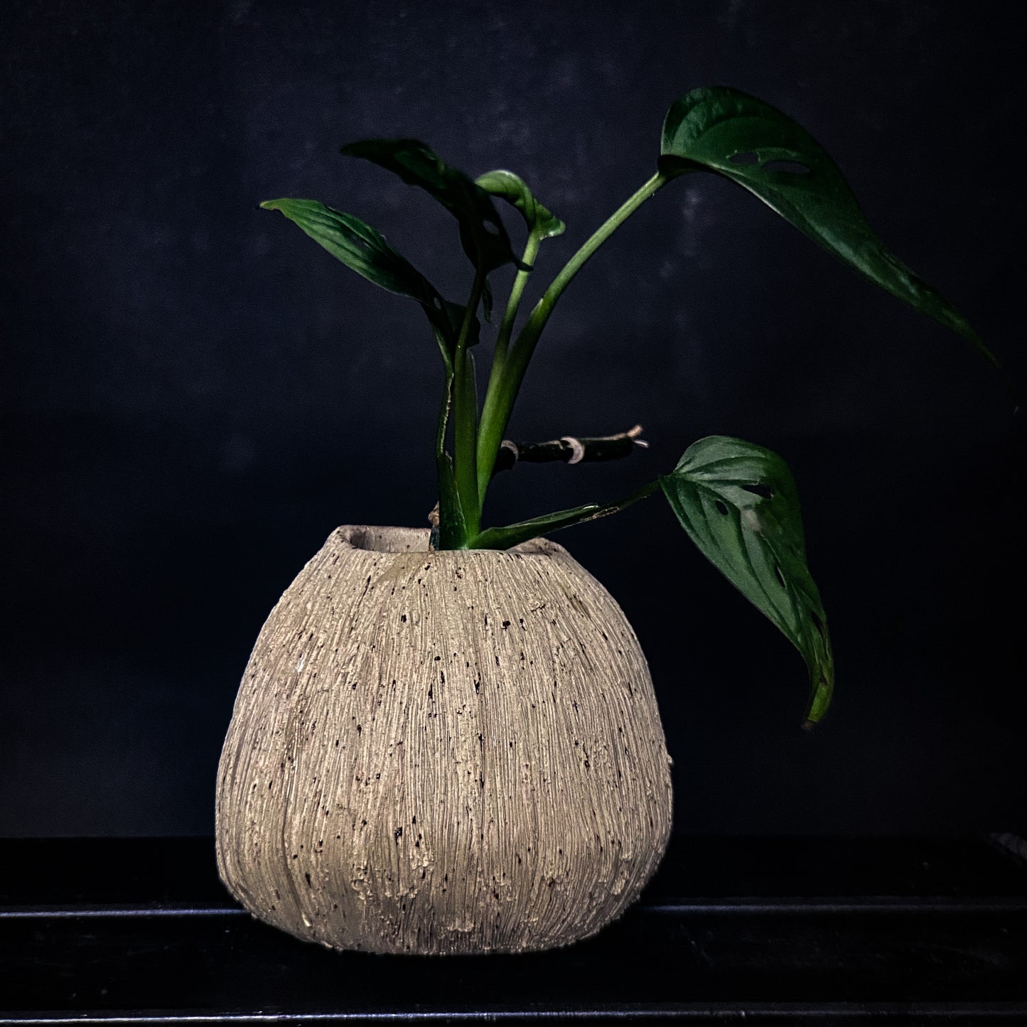 Vase - Yellow spotted clay with rough, textured finish