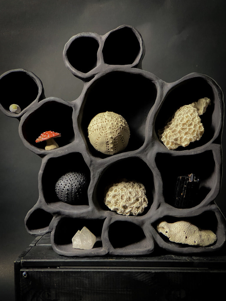 Treasure shelf