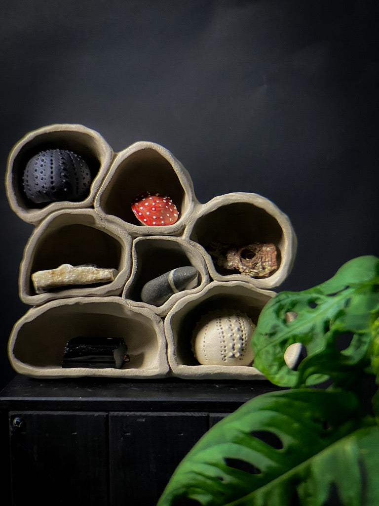 Treasure shelf