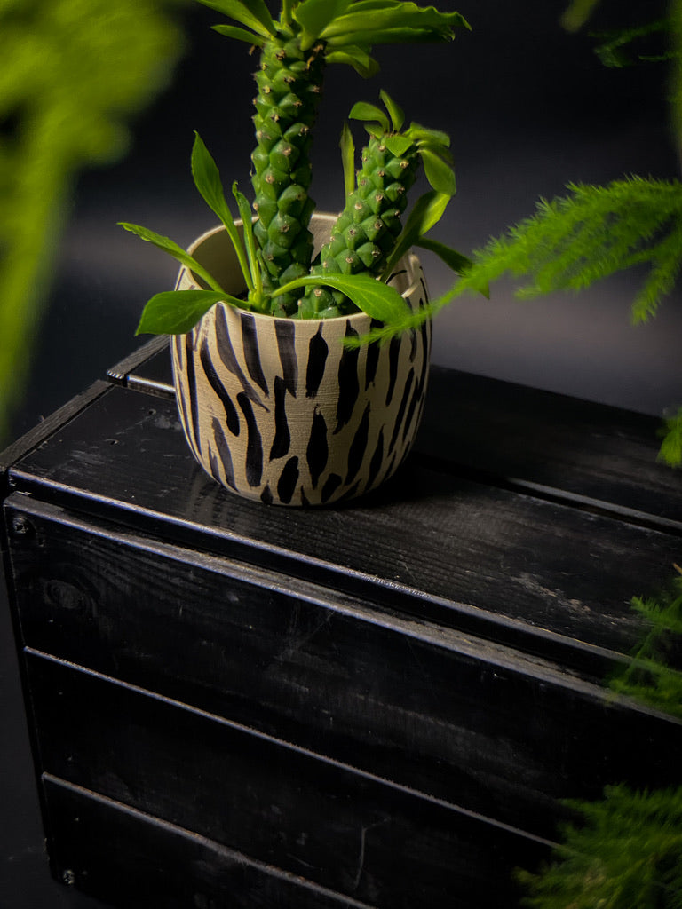 Plantpot holder - Tiger pattern