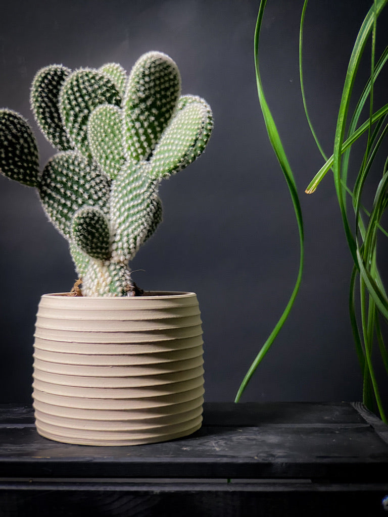 Plantpot holder - White clay with a rough and textured finish