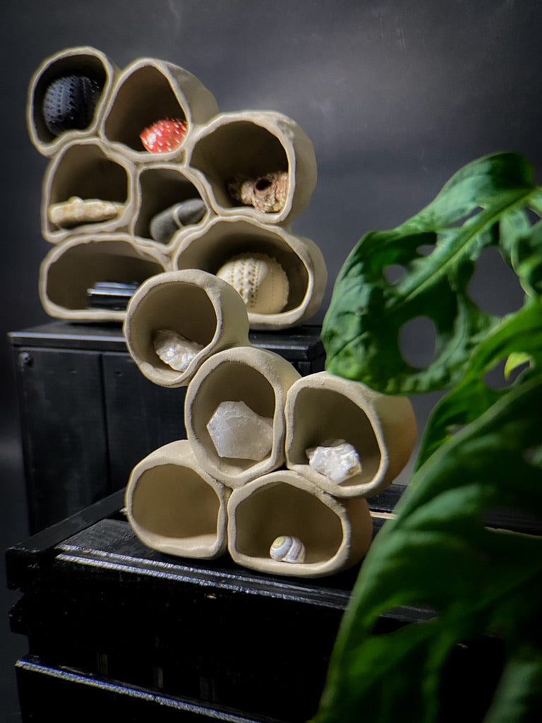 Treasure shelf