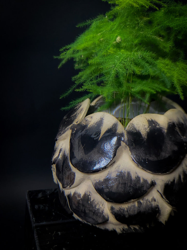 Vase pomme de pin