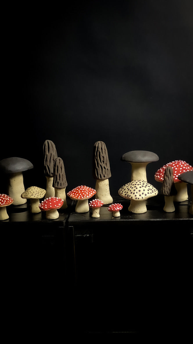 Champignon - Argile tachetée de jaune avec des taches noires - Différentes tailles