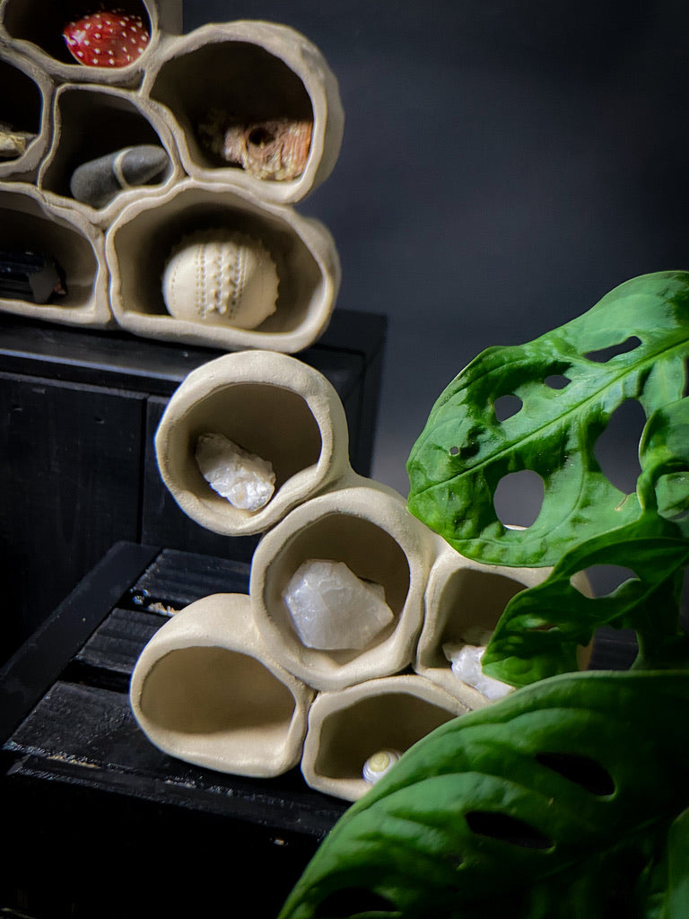 Treasure shelf