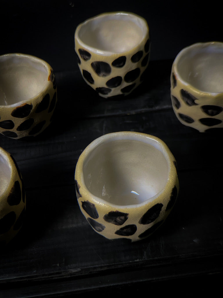 Tasses à expresso