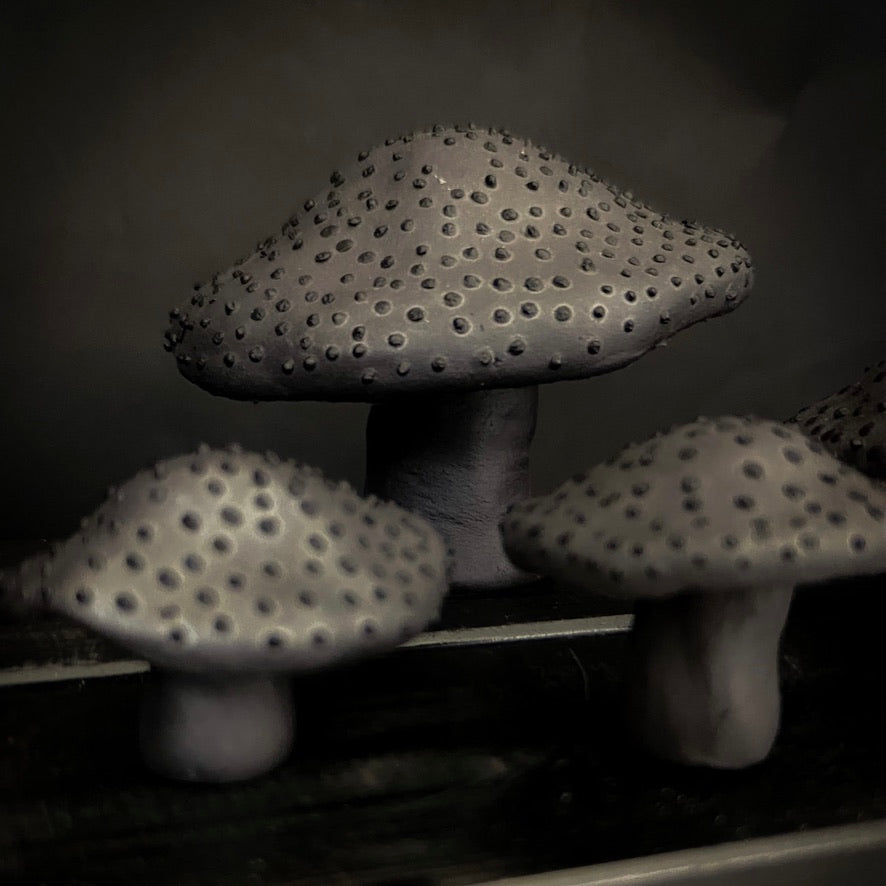 Champignons - Argile noire à pois noirs