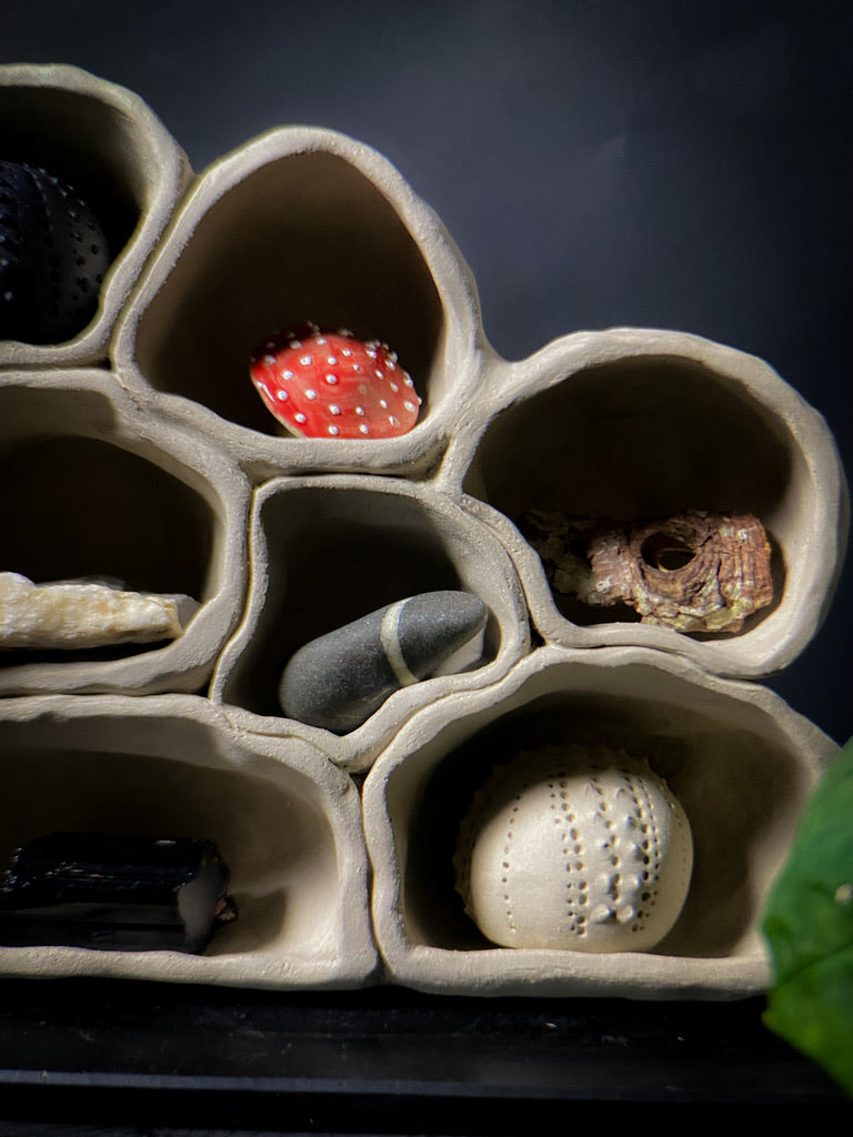 Treasure shelf