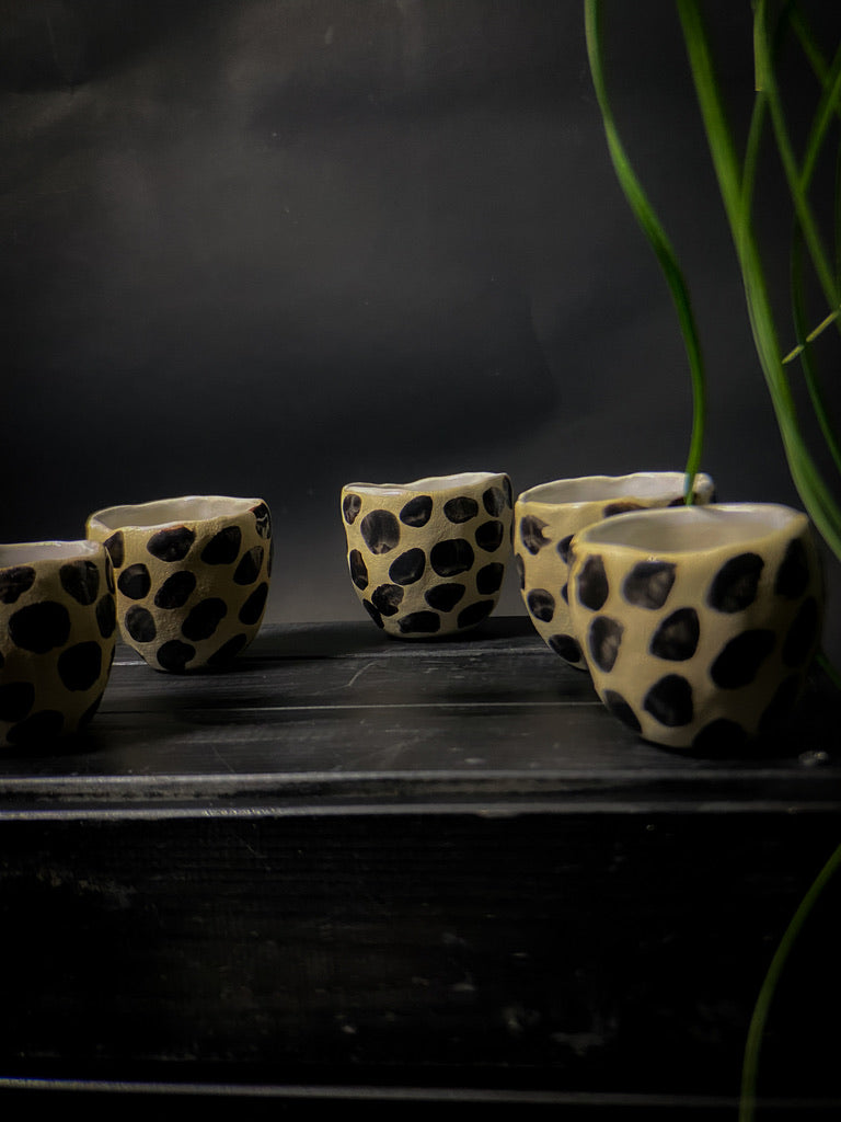 Tasses à expresso