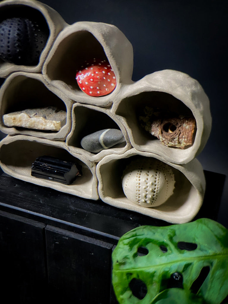 Treasure shelf
