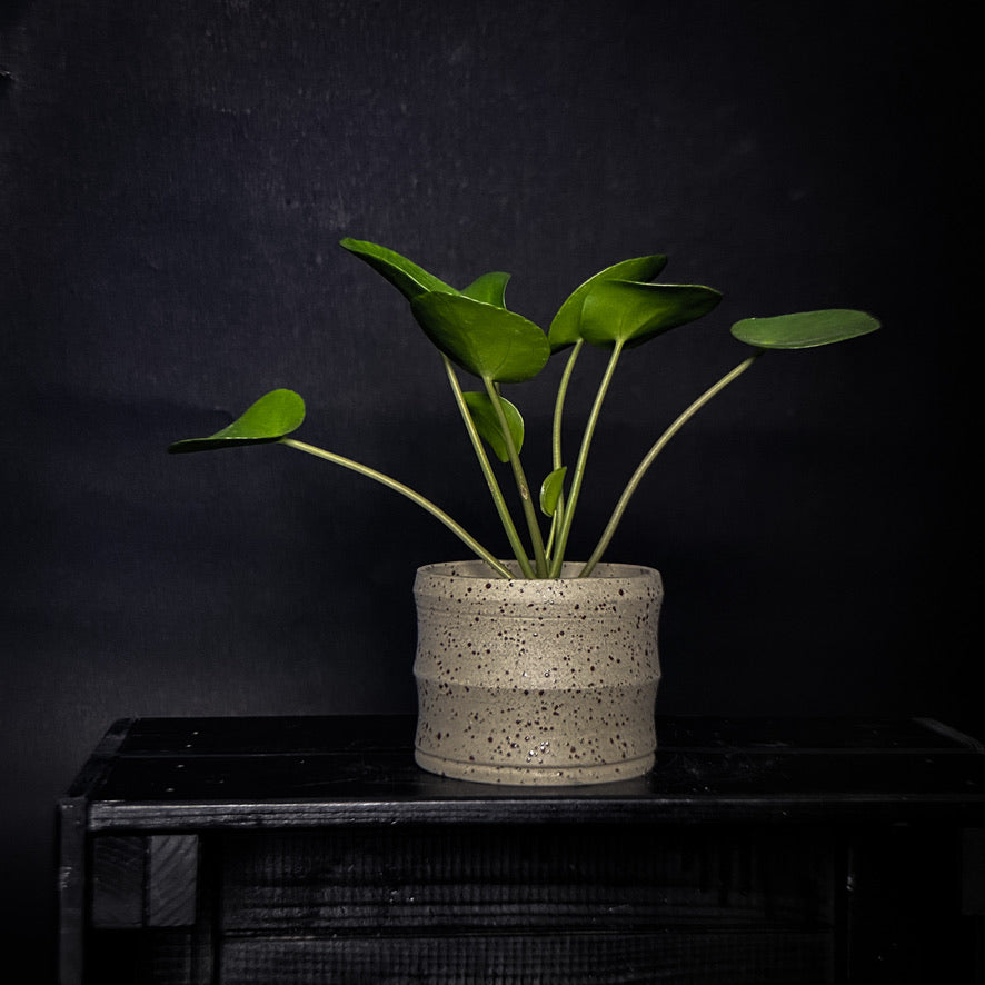 Plantpot holder - Yellow spotted clay
