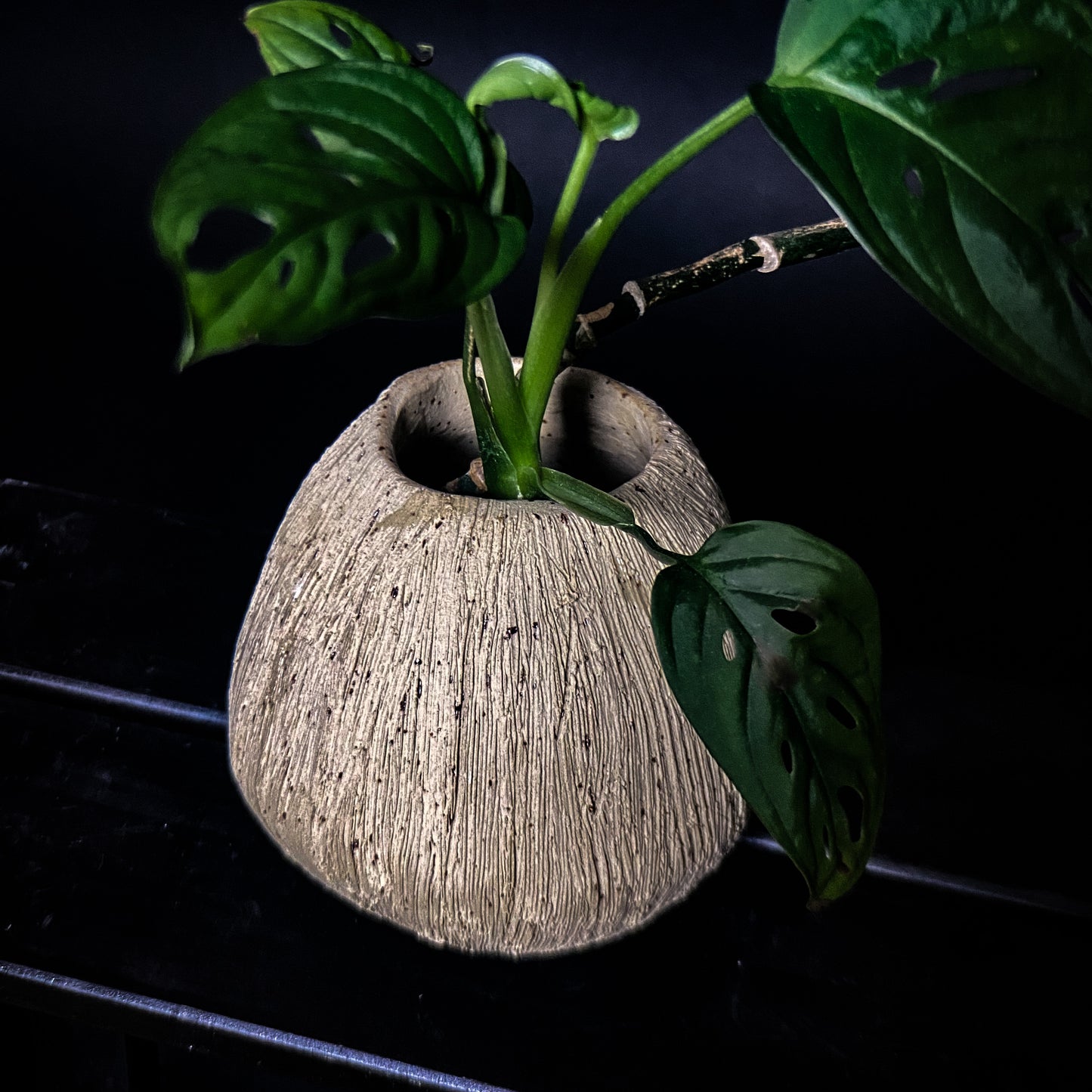 Vase - Yellow spotted clay with rough, textured finish