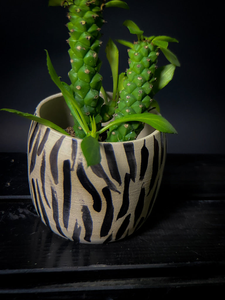 Plantpot holder - Tiger pattern