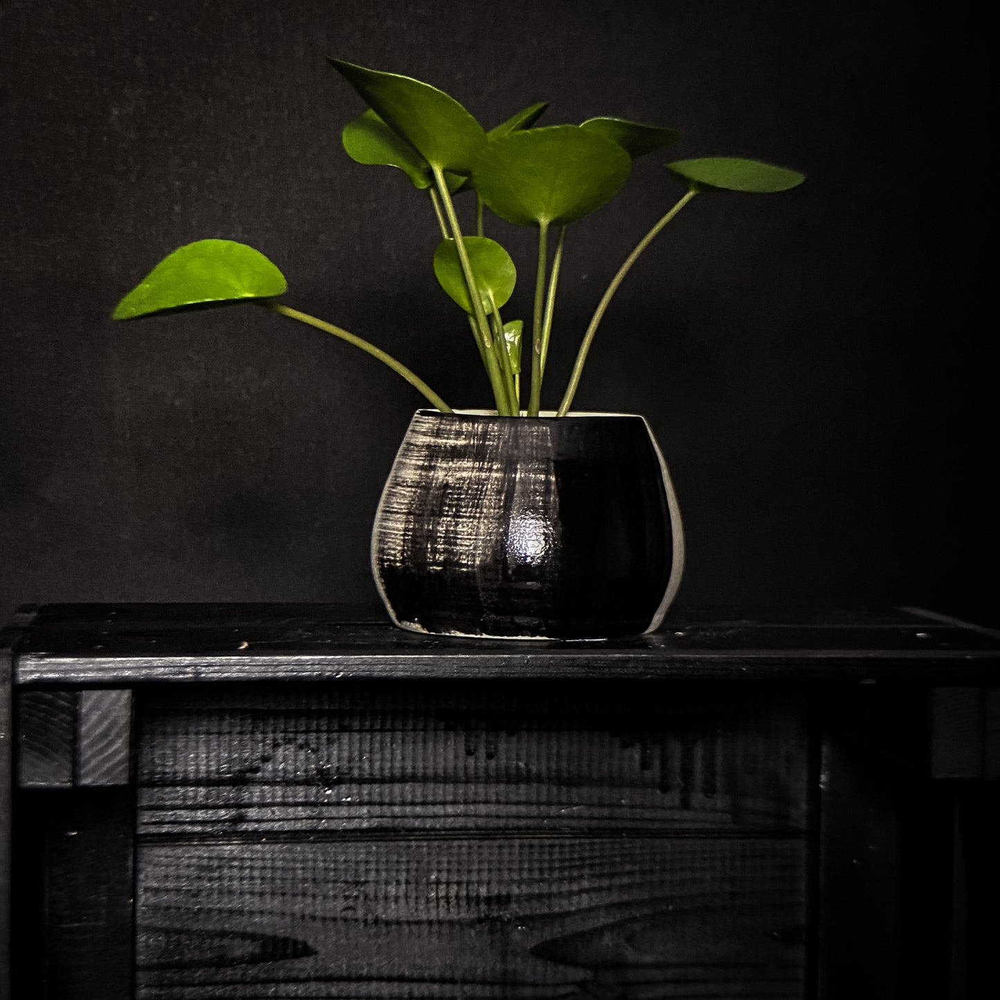 Plantpot holder - Black gradient decoration