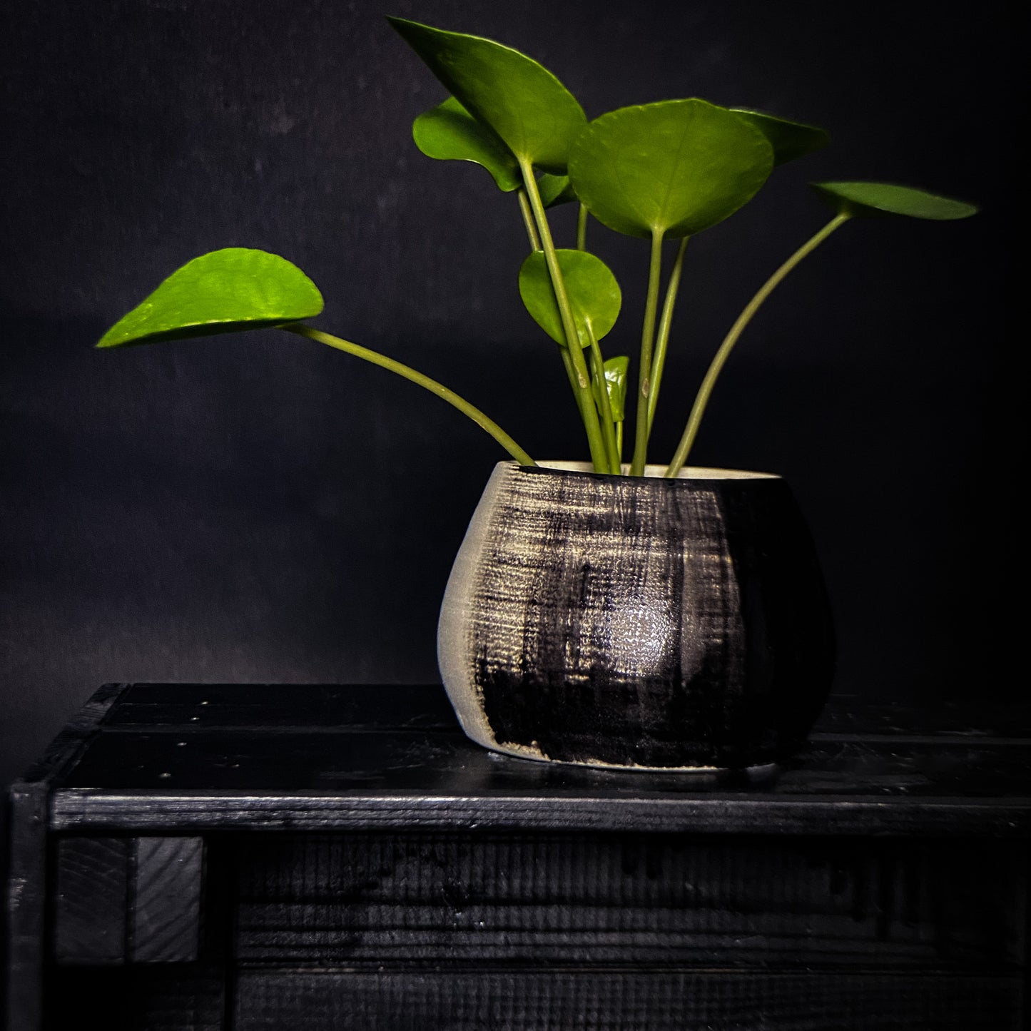 Plantpot holder - Black gradient decoration