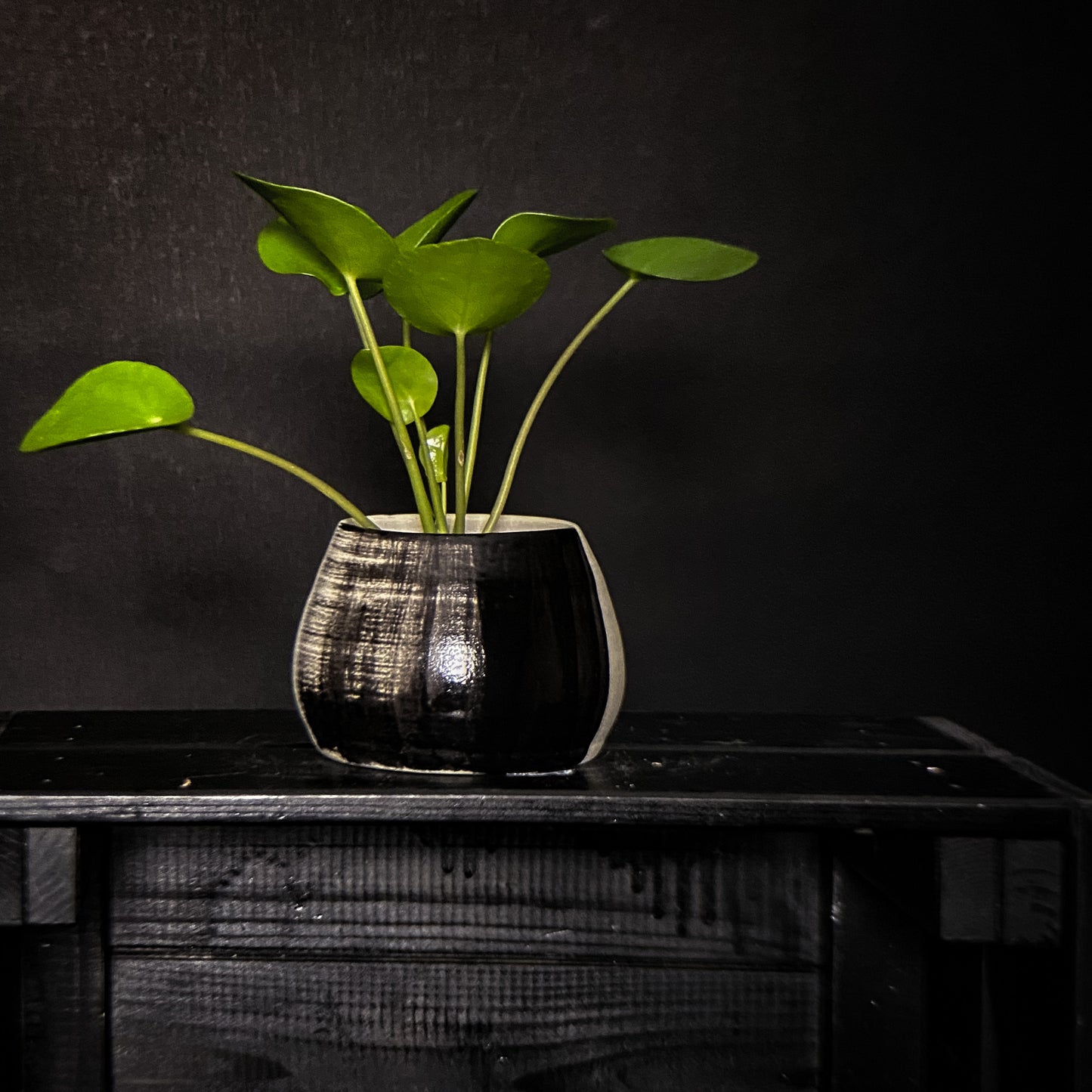Plantpot holder - Black gradient decoration