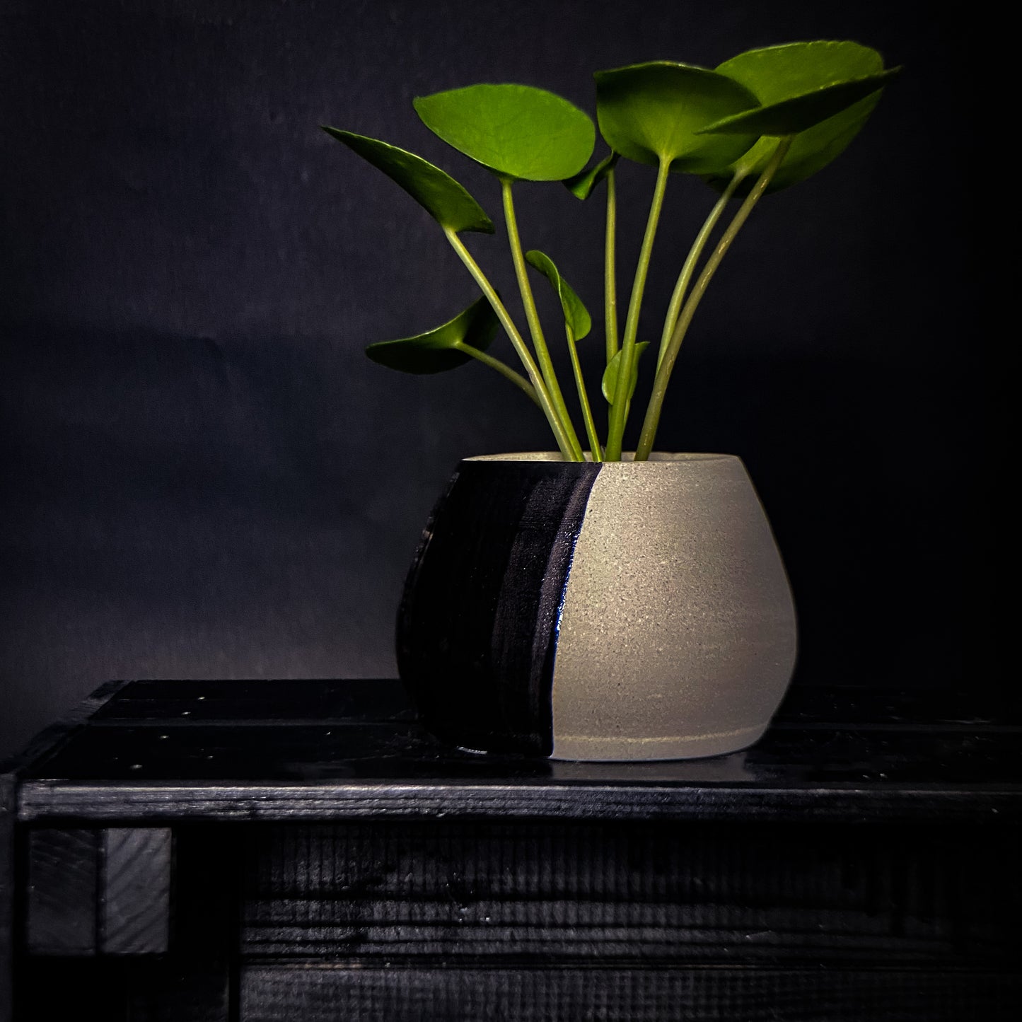 Plantpot holder - Black gradient decoration