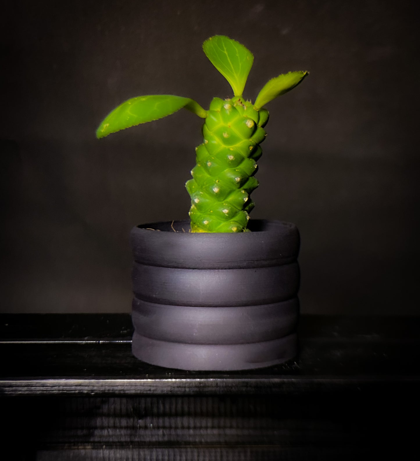 Plantpot holder - Black clay