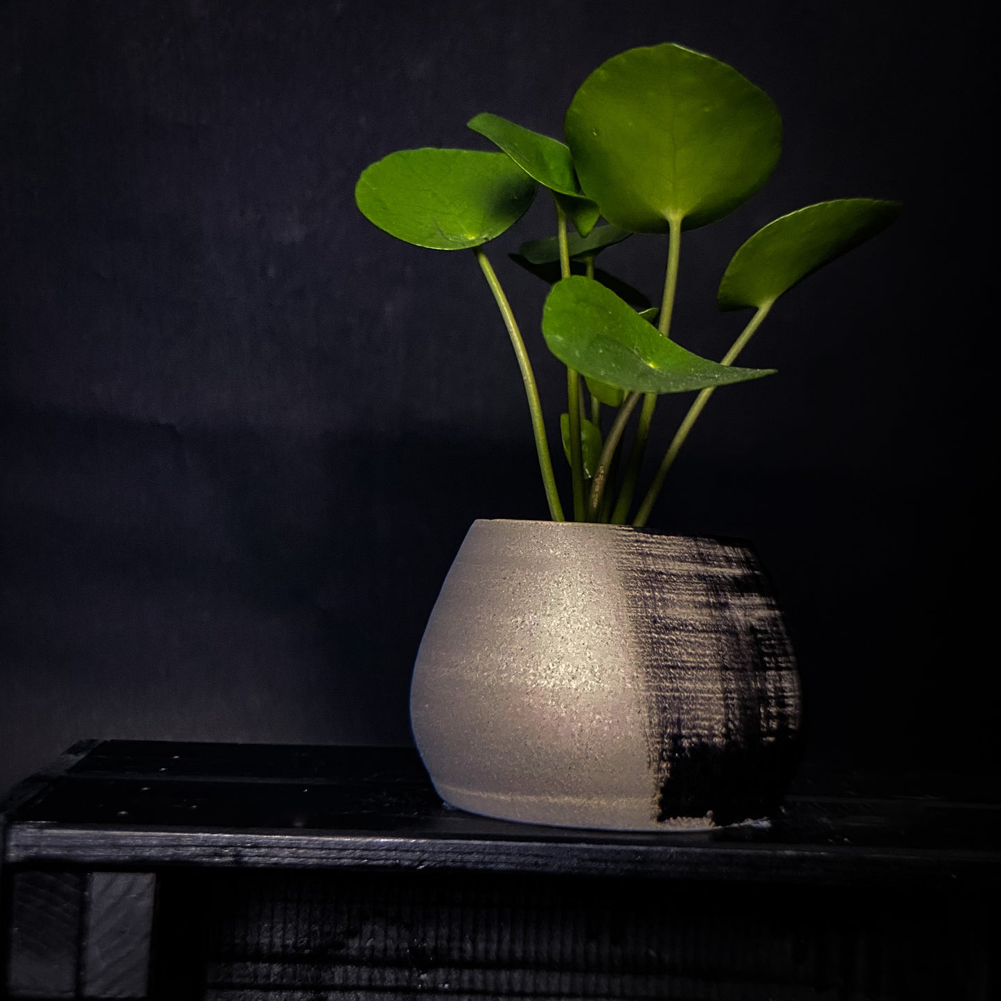 Plantpot holder - Black gradient decoration