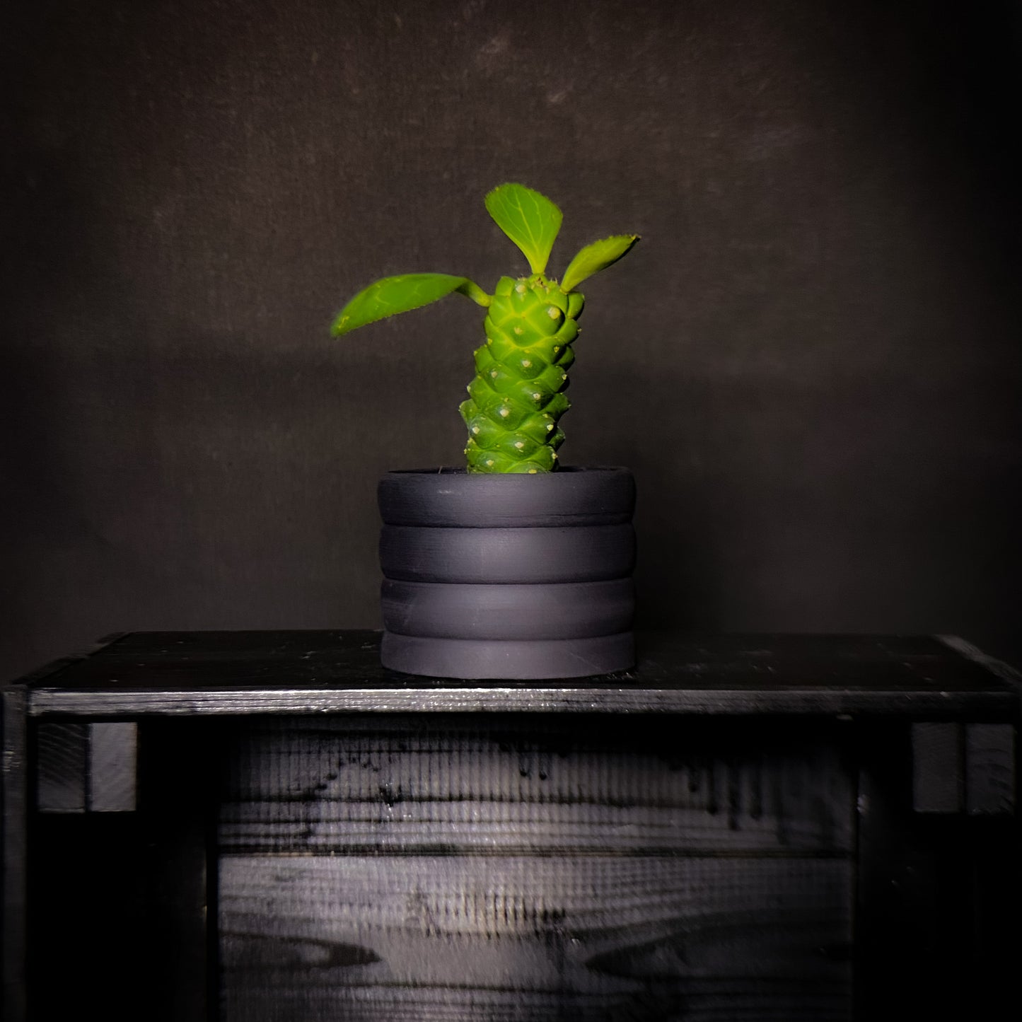 Plantpot holder - Black clay