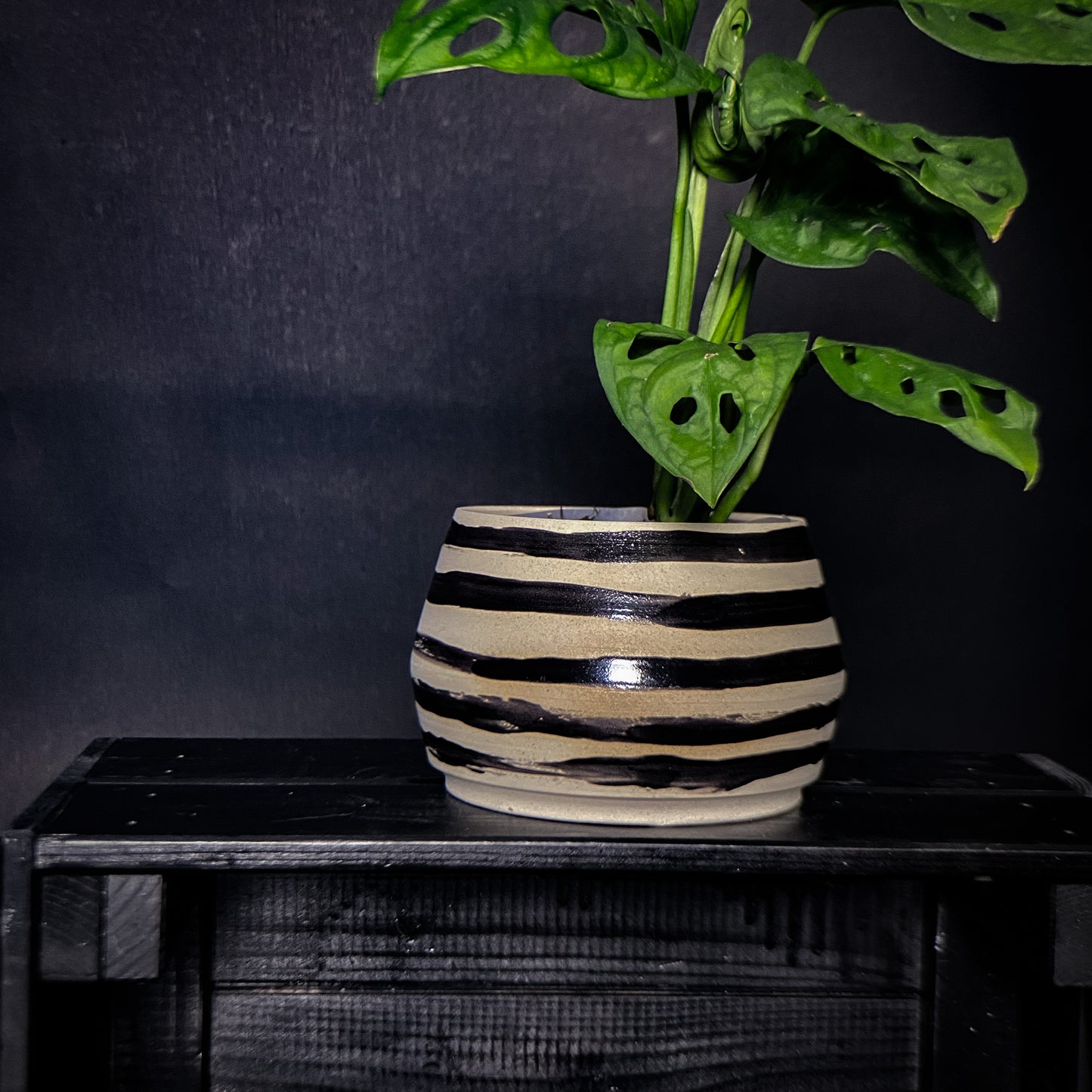 Porte-planpot - Argile blanche décorée de lignes brillantes noires