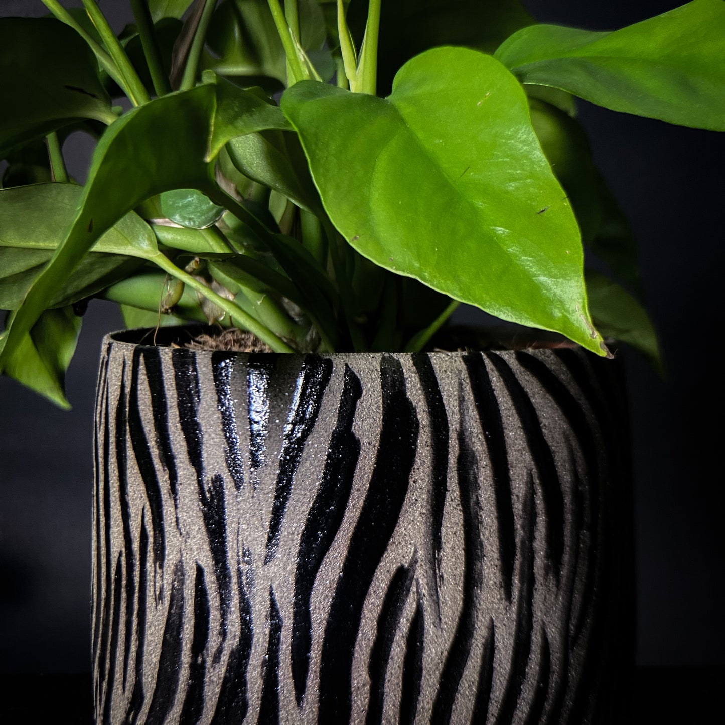Plantpot holder - Tiger pattern