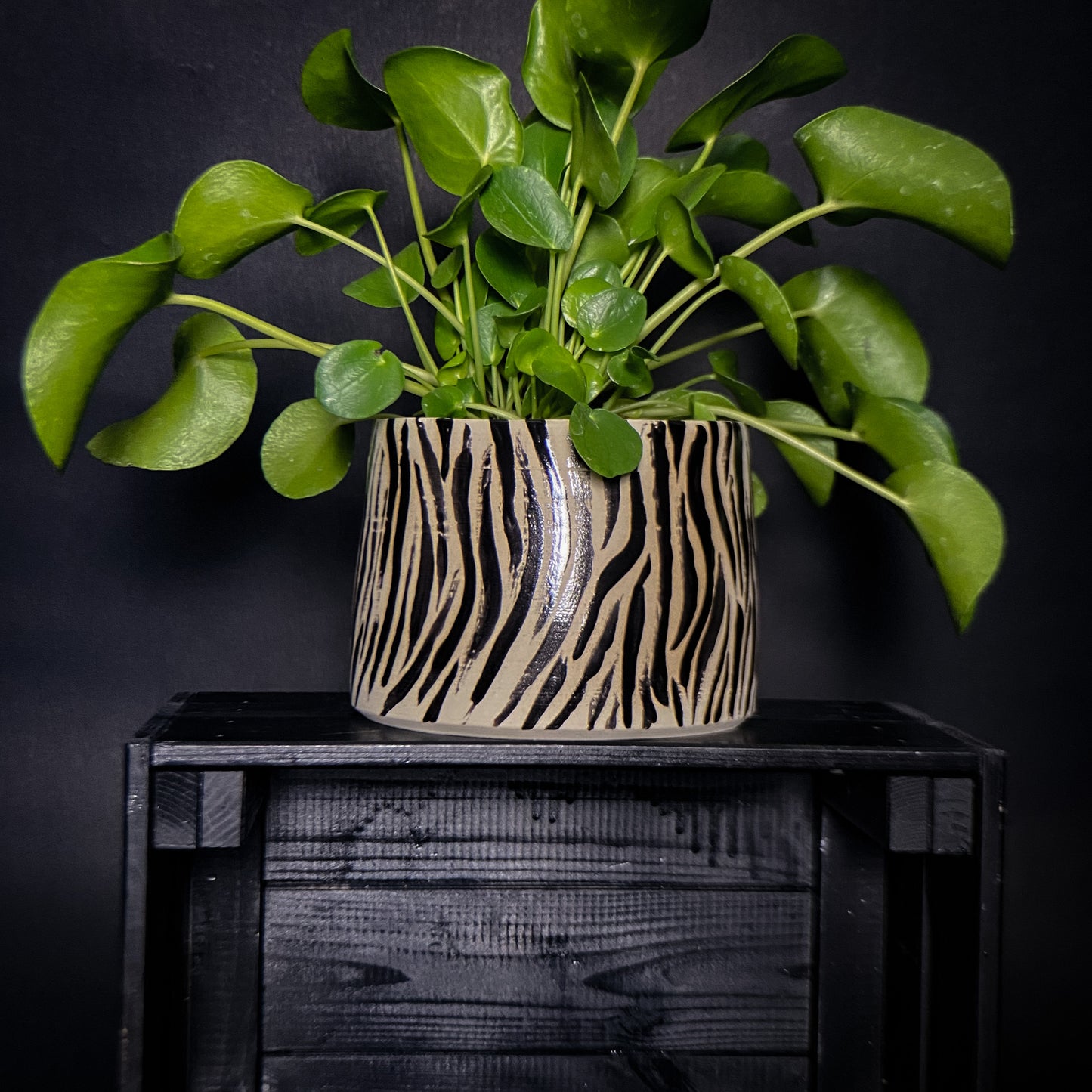 Plantpot holder - Tiger pattern