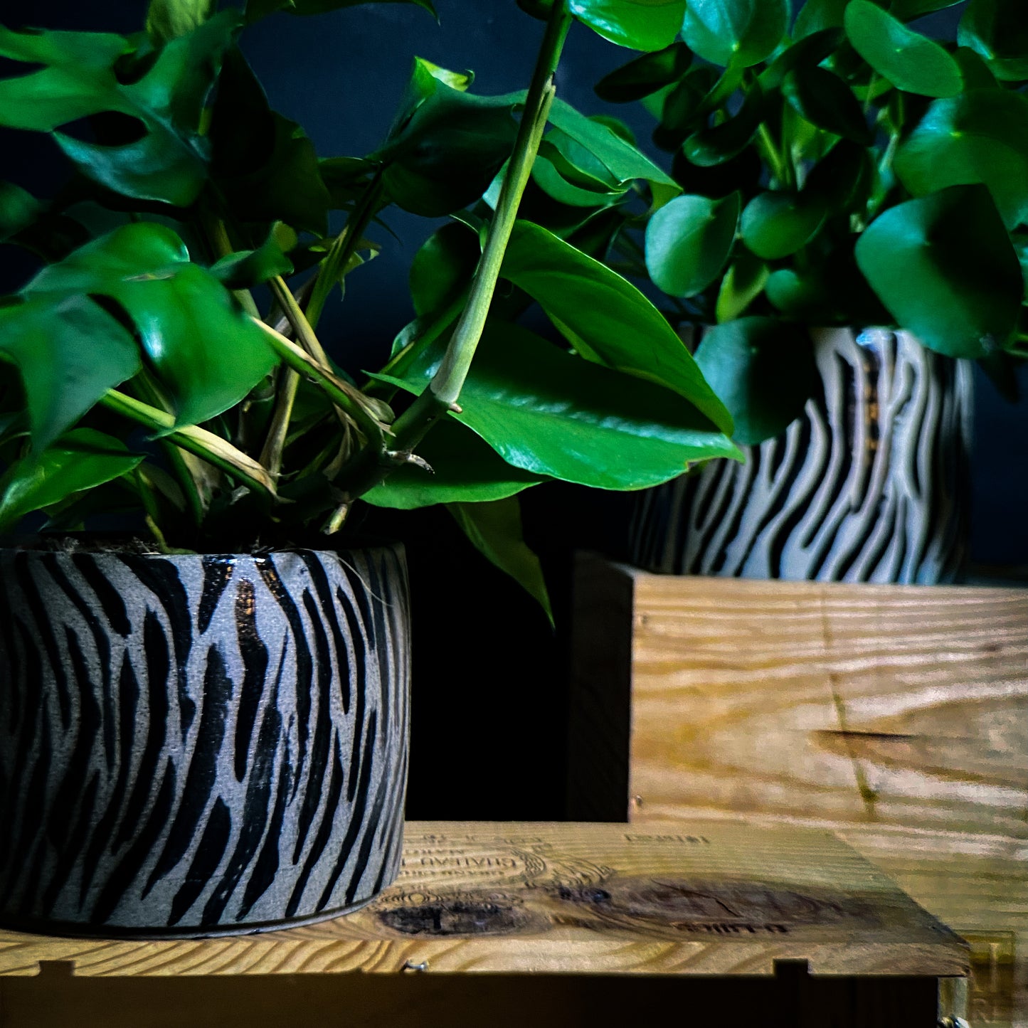 Plantpot holder - Tiger pattern