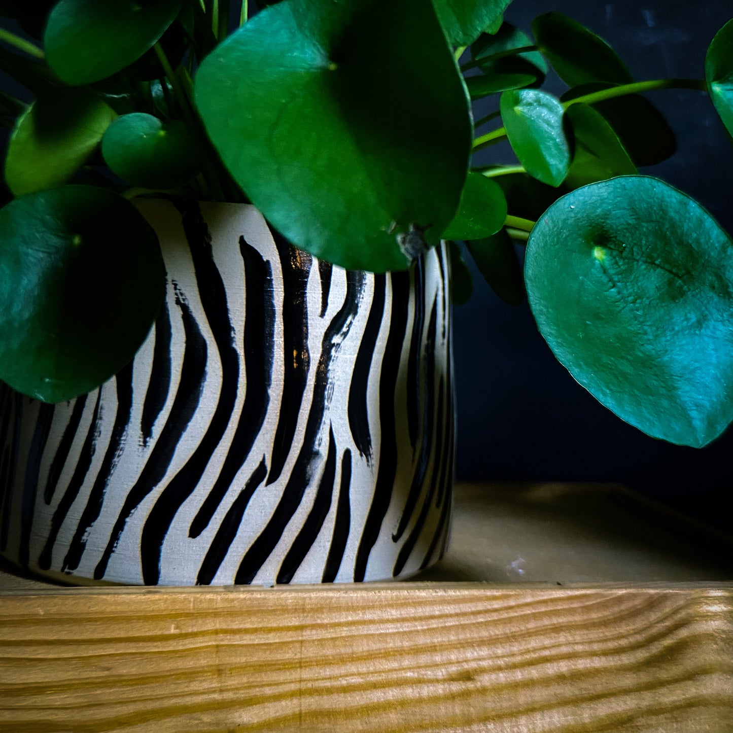 Plantpot holder - Tiger pattern