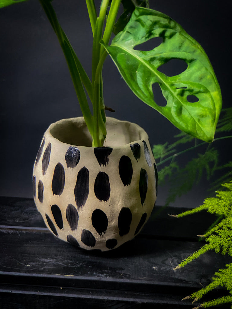Plantpot holder - Yellow spotted clay decorated with black shiny decoration