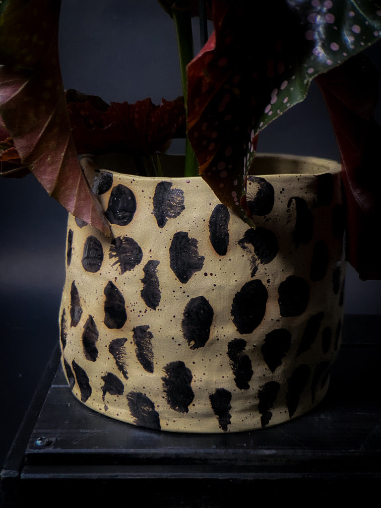 Plantpot holder - Yellow spotted clay decorated with black dots