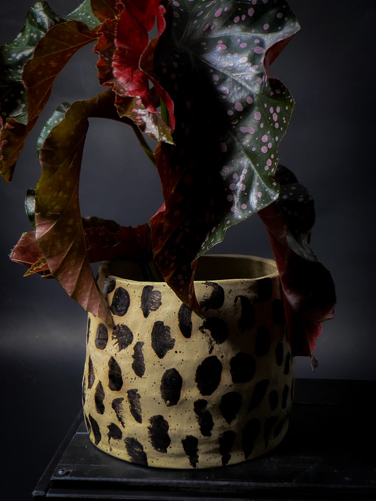 Plantpot holder - Yellow spotted clay decorated with black dots
