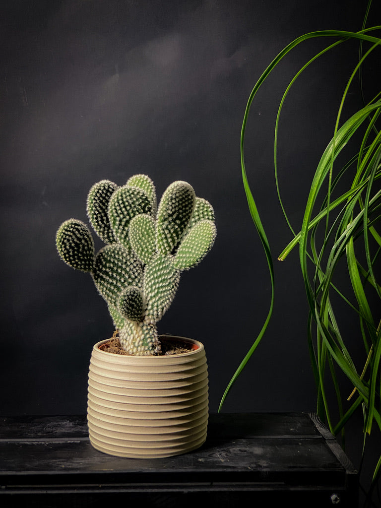 Plantpot holder - White clay with a rough and textured finish