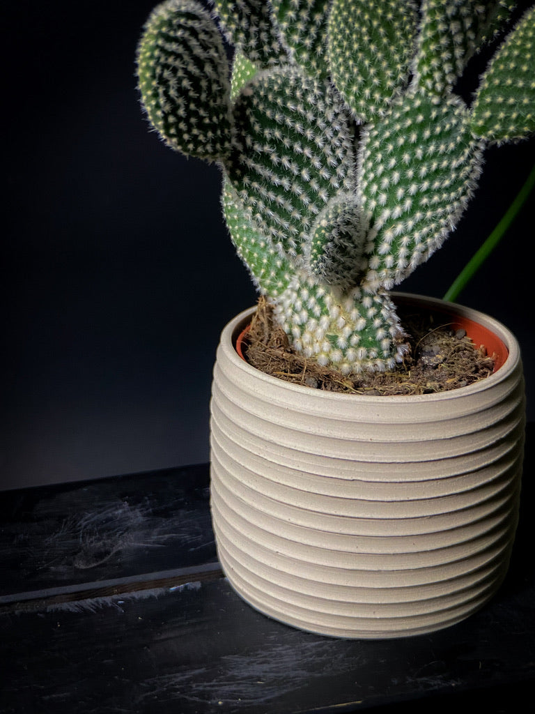 Plantpot holder - White clay with a rough and textured finish