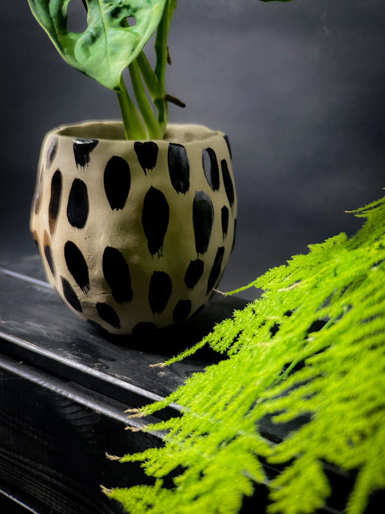 Plantpot holder - Yellow spotted clay decorated with black shiny decoration