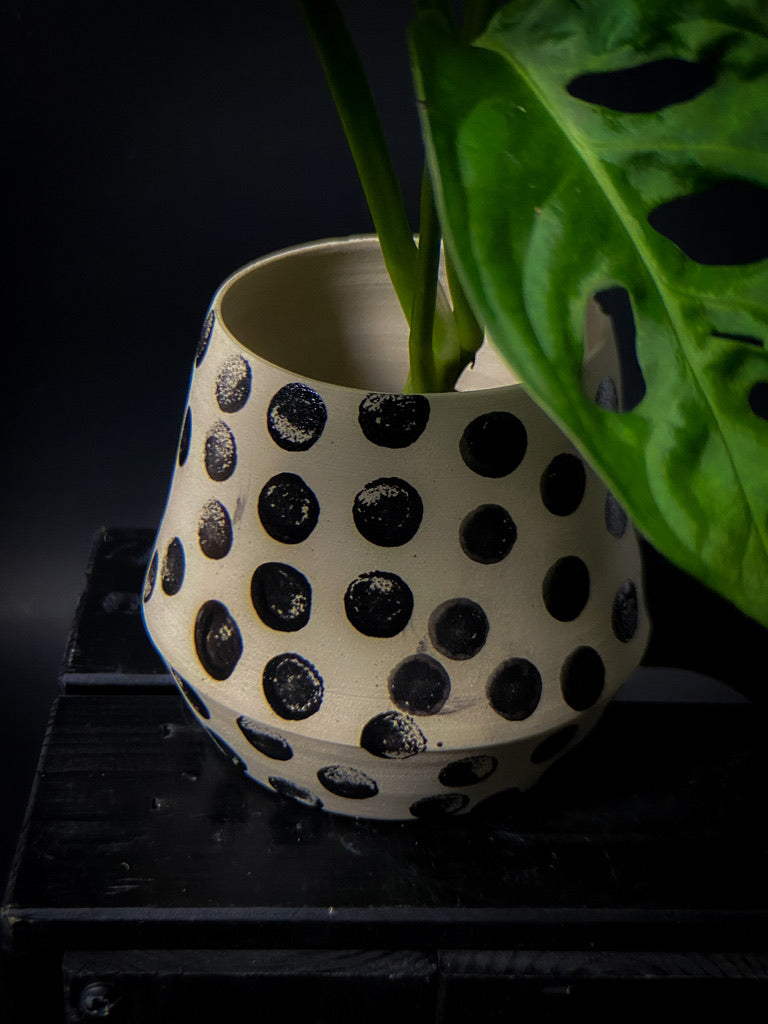 Plantpot holder - White clay with big black dots
