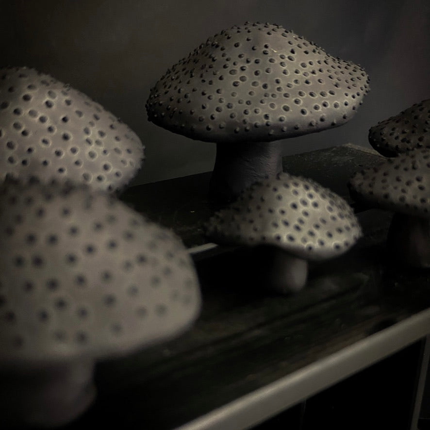 Mushrooms - Black clay with black dots