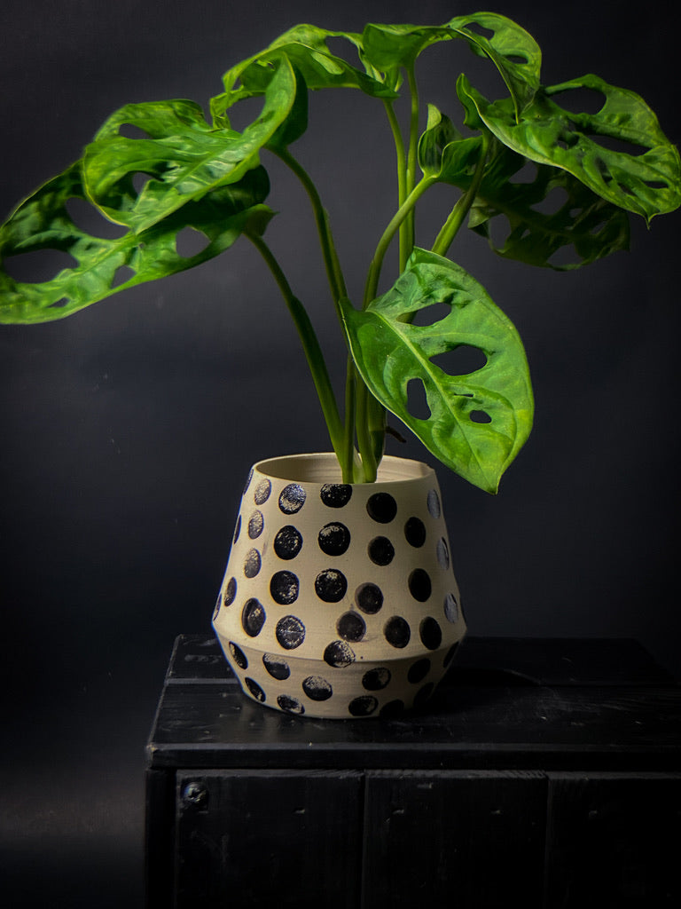 Plantpot holder - White clay with big black dots