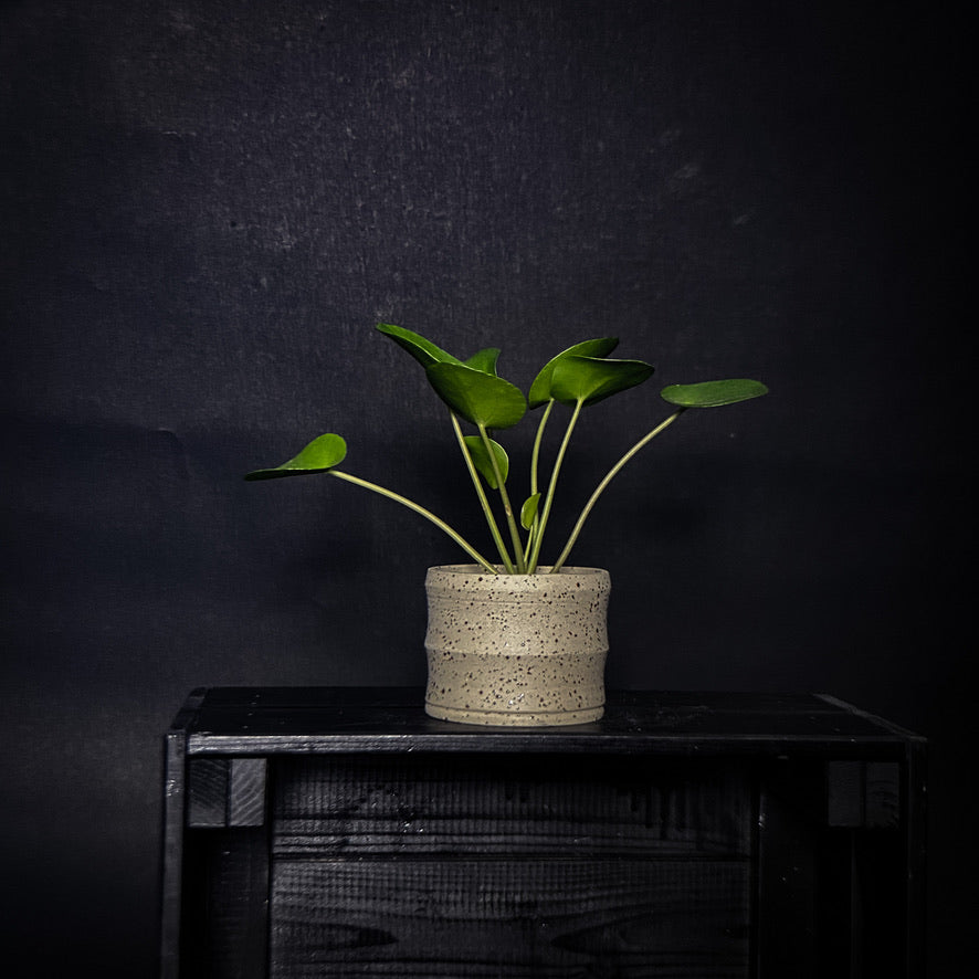 Plantpot holder - Yellow spotted clay