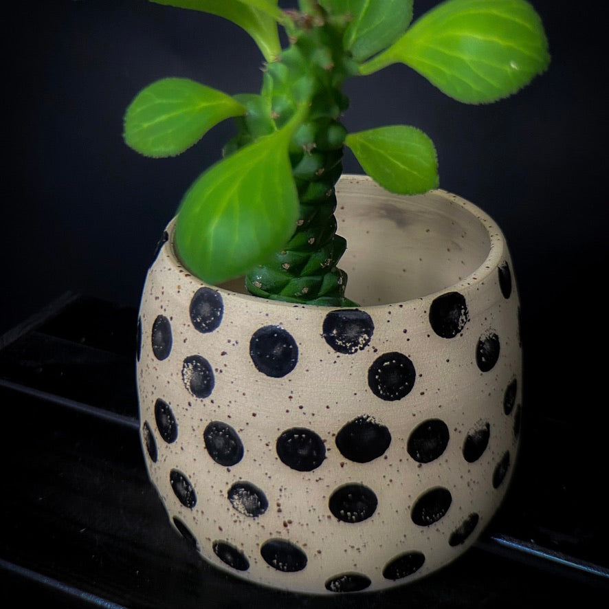 Plantpot holder - White cream clay with big black dots
