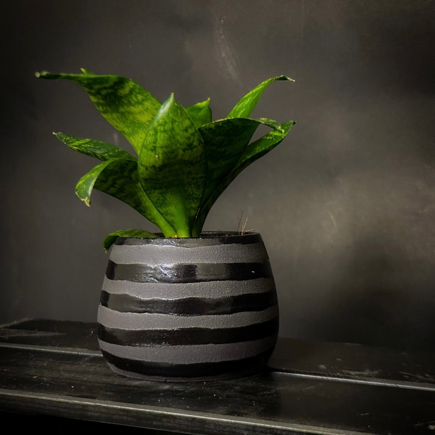 Plantpot holder - Black clay