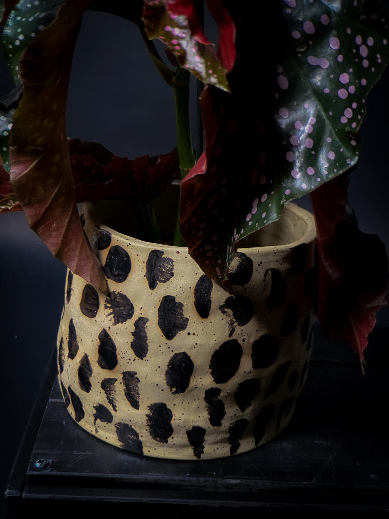 Plantpot holder - Yellow spotted clay decorated with black dots