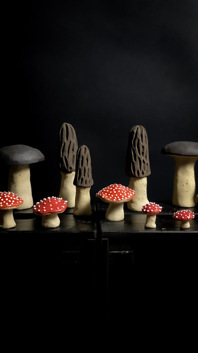 Mushroom - Red with white spots - Various sizes