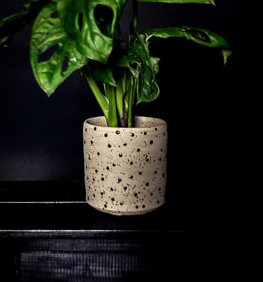 Plantpot holder - Yellow spotted clay decorated with black dots