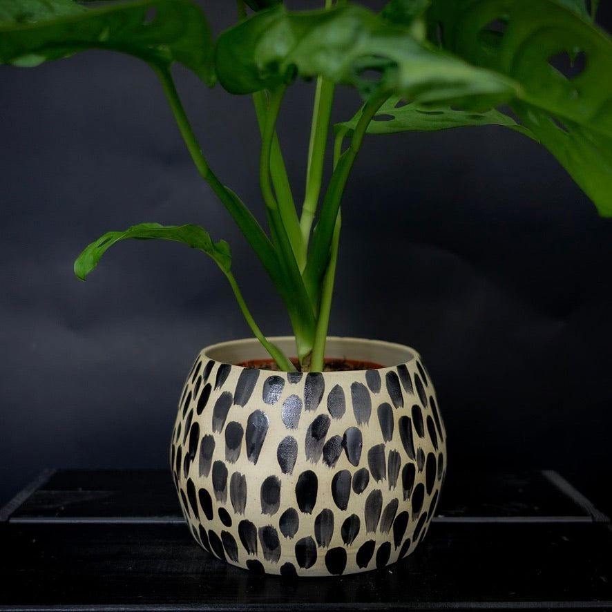 Plantpot holder - White cream clay with black decoration