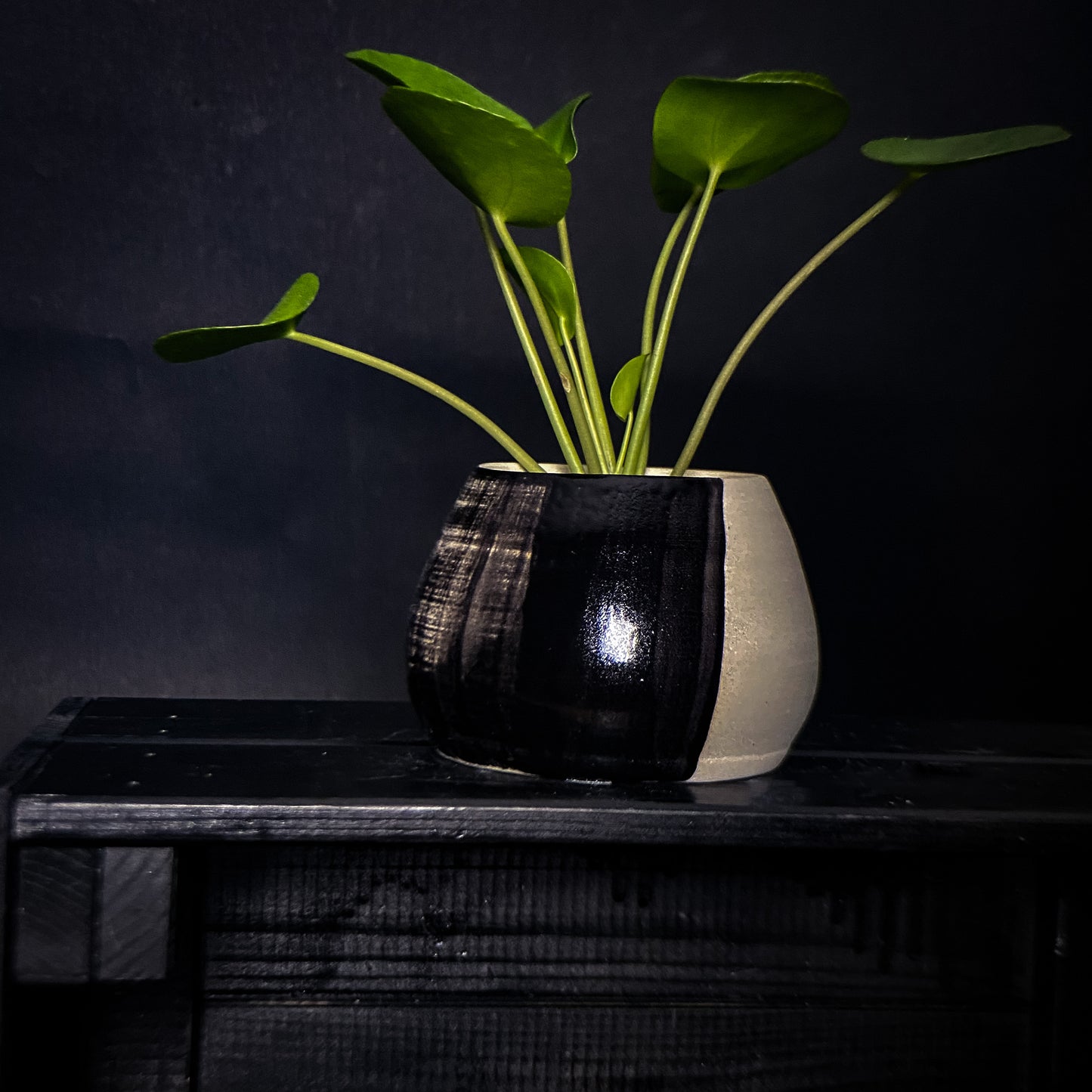 Plantpot holder - Black gradient decoration